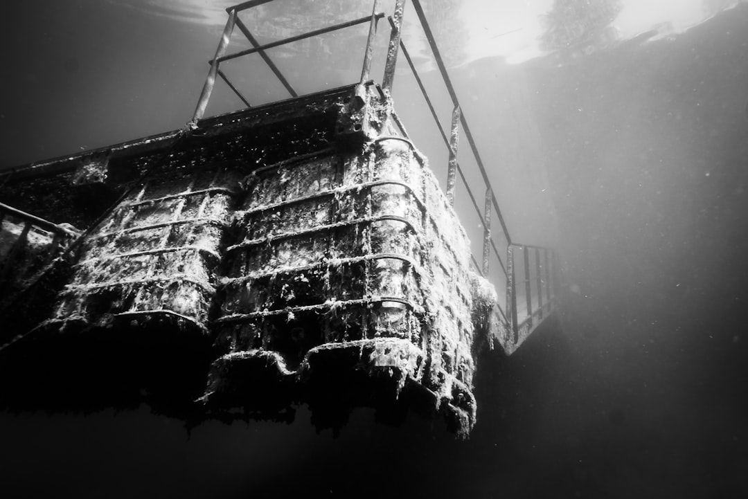 Biologisch abbaubare Seife schützt Mensch und Natur