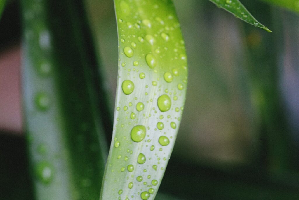 Mit duschgel biologisch abbaubar die Umwelt schützen: Einfach sauber bleiben und Rücksicht nehmen