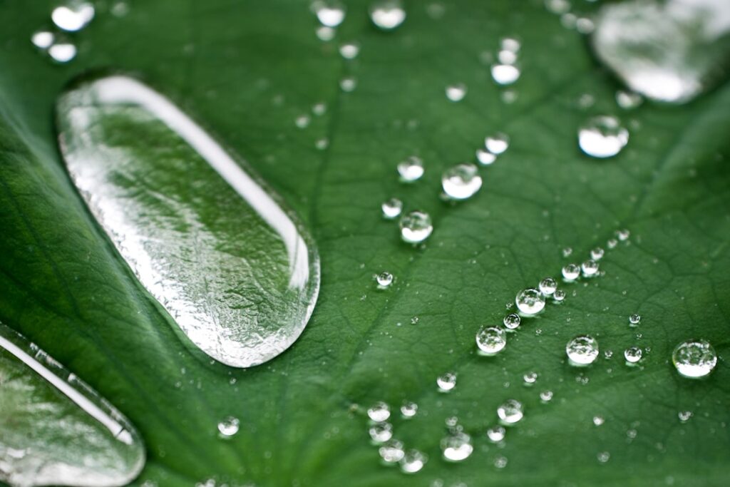 Saubere Wäsche und saubere Umwelt: Waschmittel biologisch abbaubar