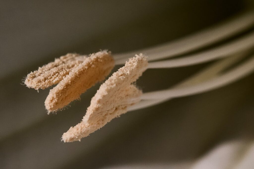Frische Zähne und saubere Umwelt: Was biologisch abbaubare Zahnpasta bewirkt