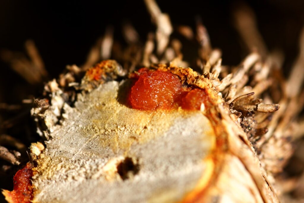 Umweltfreundlich Gassigehen: Hundekotbeutel biologisch abbaubar als nachhaltige Lösung