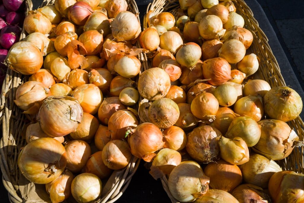 Kartoffelkäfer biologisch bekämpfen: Natürliche Wege gegen den Schädling