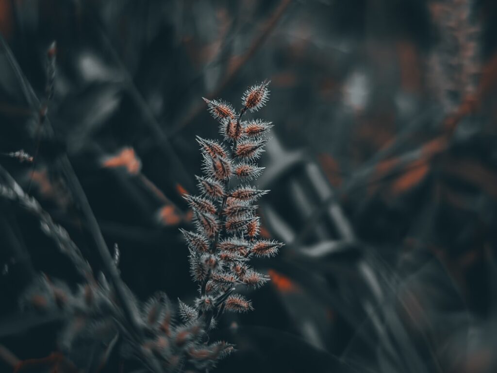 Natürliche Pflege mit Herrentier Biologisch: Nachhaltig und Gesund