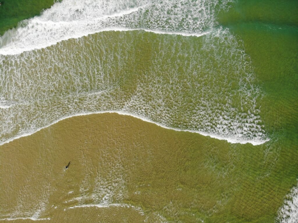 Natürliche Frische mit biologisch abbaubarem Duschgel erleben