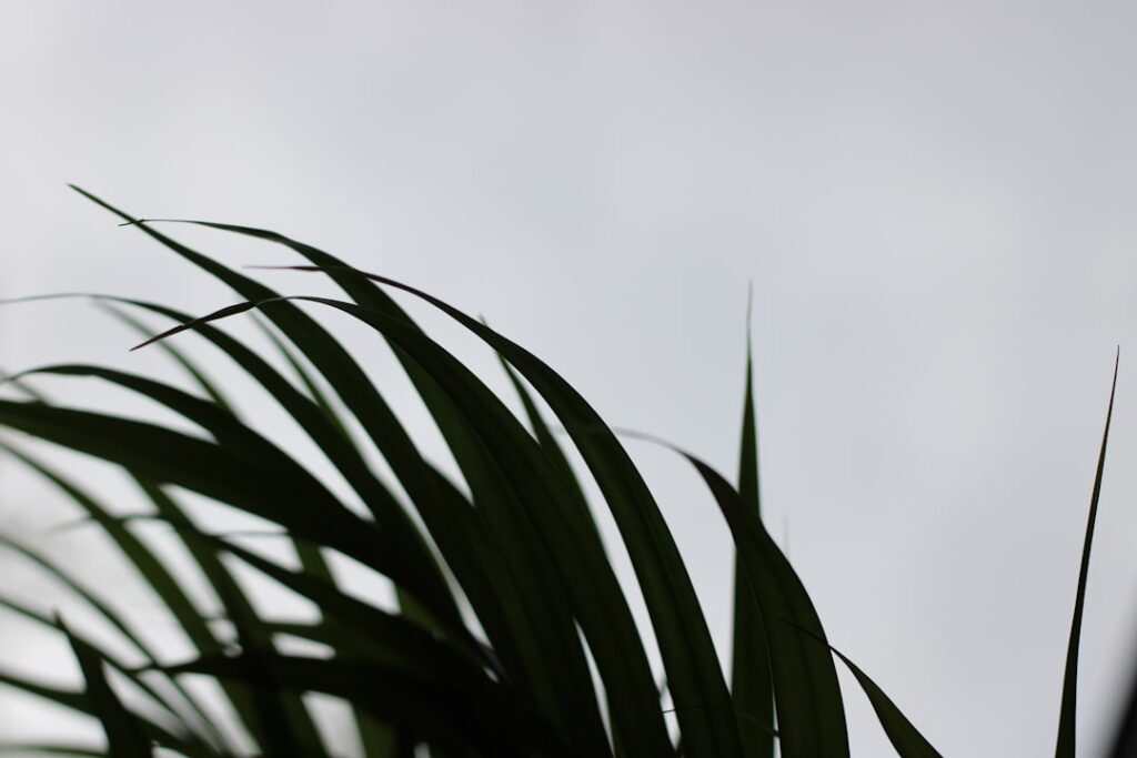 Haushalt tipps für einen entspannten Alltag