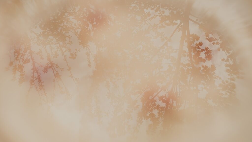 Schneckenkragen selber machen: Natürlicher Schutz für Ihren Garten