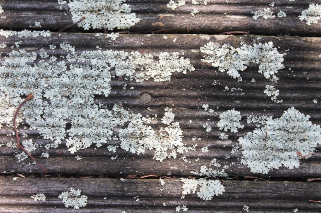 Frischer Glanz für Ihren Boden: Stark verschmutztes Linoleum reinigen leicht gemacht