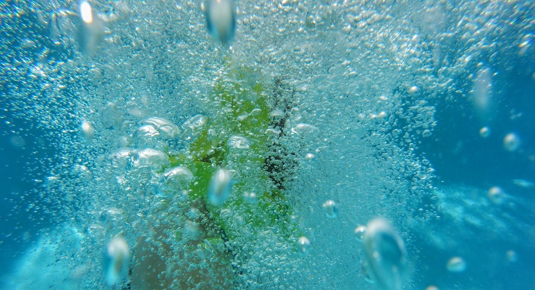 Saubere Teller, saubere Umwelt: Spülmittel biologisch abbaubar verstehen und nutzen