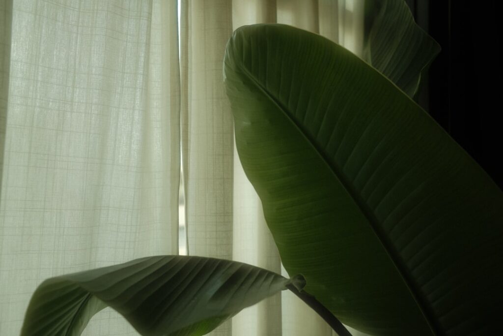 So bleibt der Rasen schön: Wie oft Rasen mähen für beste Ergebnisse