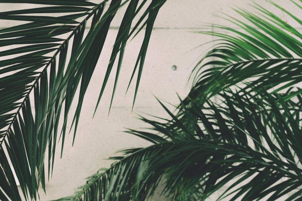 Der Weg zum eigenen Rosenkohl: So gelingt das Pflanzen im Garten