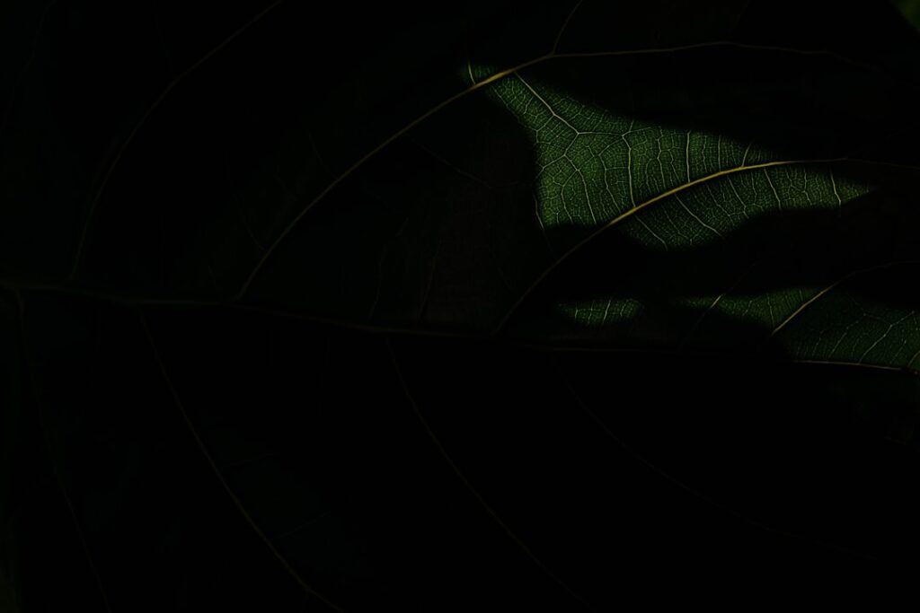 So gelingt das Mähen von nassem Rasen ohne Probleme